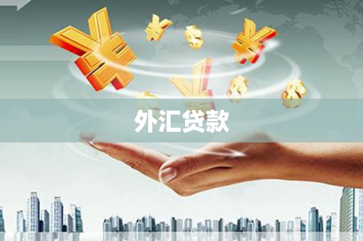 襄汾外汇贷款