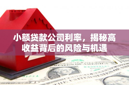 襄汾小额贷款公司利率，揭秘高收益背后的风险与机遇