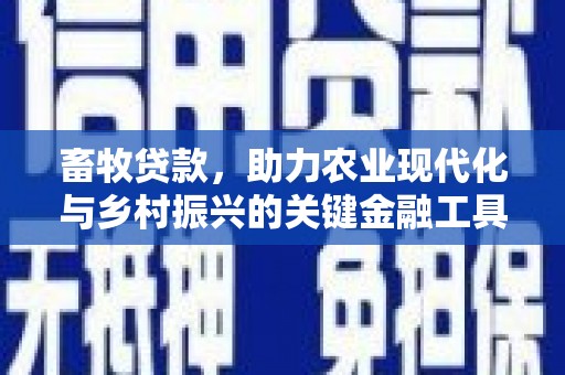 襄汾畜牧贷款，助力农业现代化与乡村振兴的关键金融工具