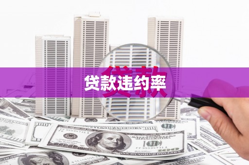 襄汾贷款违约率
