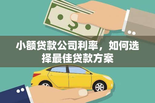 襄汾小额贷款公司利率，如何选择最佳贷款方案