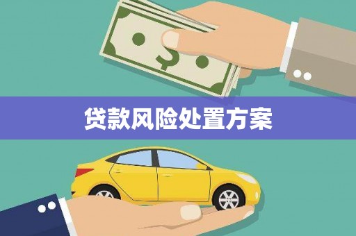 襄汾贷款风险处置方案