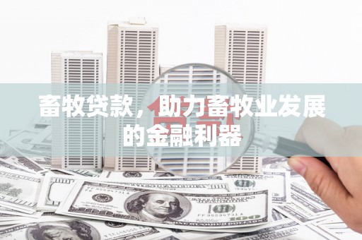 襄汾畜牧贷款，助力畜牧业发展的金融利器