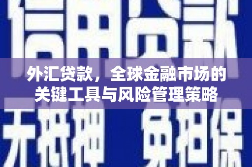 襄汾外汇贷款，全球金融市场的关键工具与风险管理策略