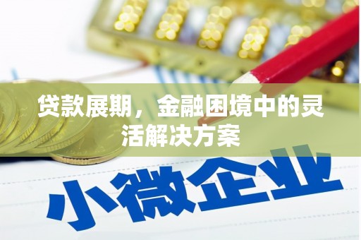 襄汾贷款展期，金融困境中的灵活解决方案