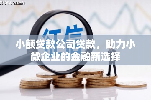 襄汾小额贷款公司贷款，助力小微企业的金融新选择