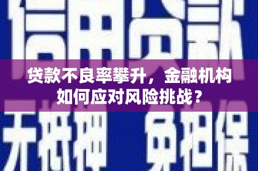 襄汾贷款不良率攀升，金融机构如何应对风险挑战？