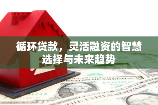 襄汾循环贷款，灵活融资的智慧选择与未来趋势