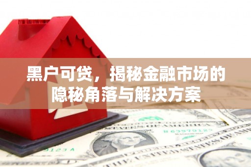 襄汾黑户可贷，揭秘金融市场的隐秘角落与解决方案