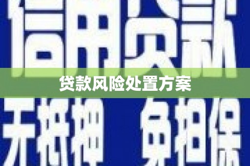 襄汾贷款风险处置方案