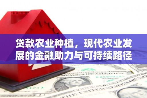 襄汾贷款农业种植，现代农业发展的金融助力与可持续路径