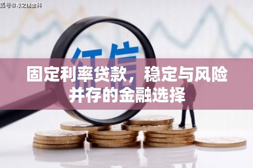 襄汾固定利率贷款，稳定与风险并存的金融选择