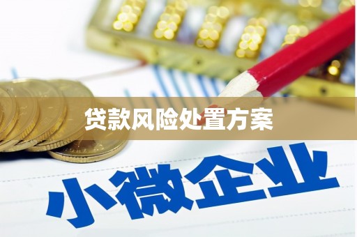 襄汾贷款风险处置方案