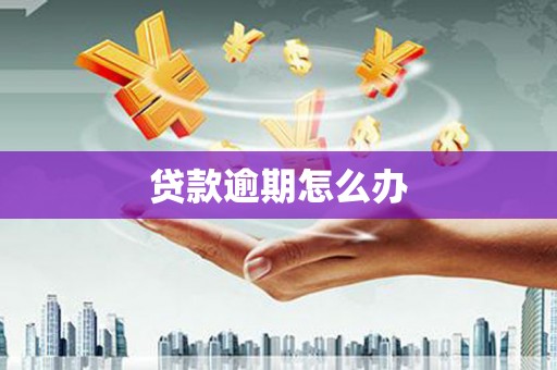 襄汾贷款逾期怎么办