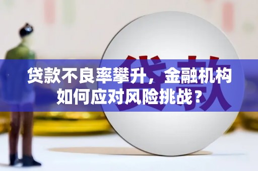 襄汾贷款不良率攀升，金融机构如何应对风险挑战？
