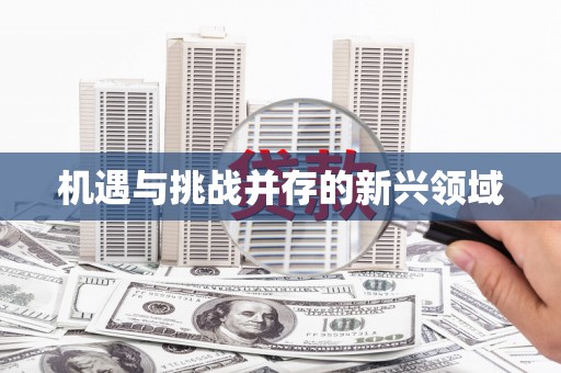 襄汾机遇与挑战并存的新兴领域
