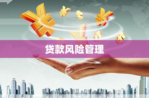襄汾贷款风险管理